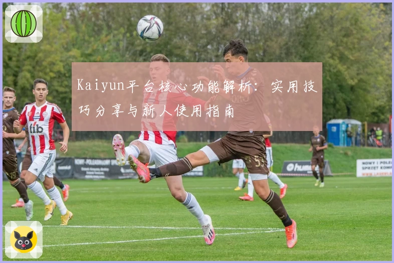Kaiyun平台核心功能解析：实用技巧分享与新人使用指南