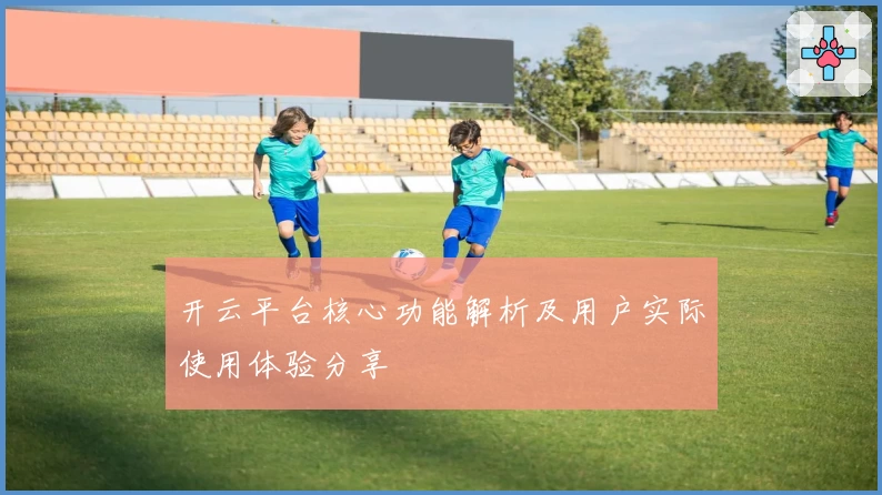 开云平台核心功能解析及用户实际使用体验分享